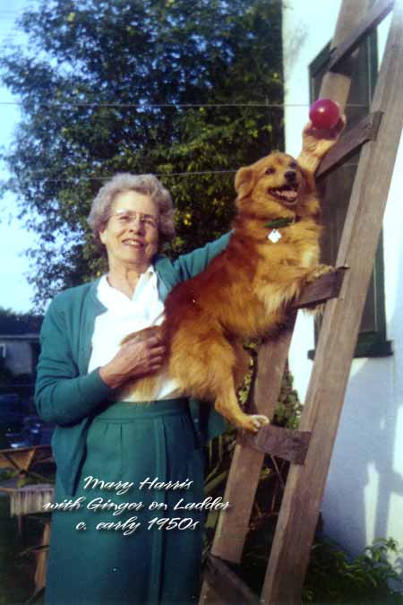 Mary&GingerOnLadder