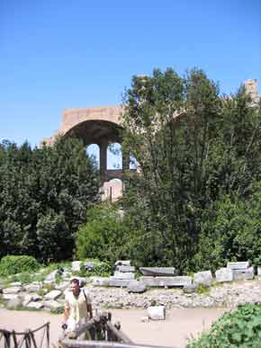 BasilicaOfMaxentius-050205-229p