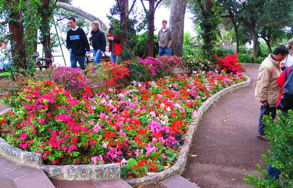 Owen-petunias-park-042405-256p