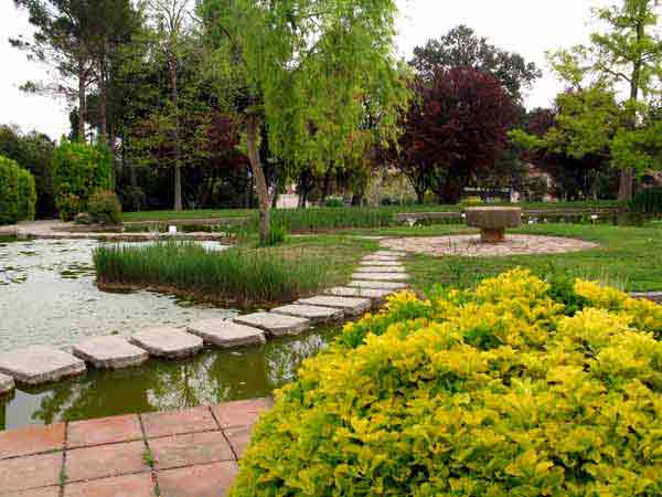 GardenPond-042305-850a