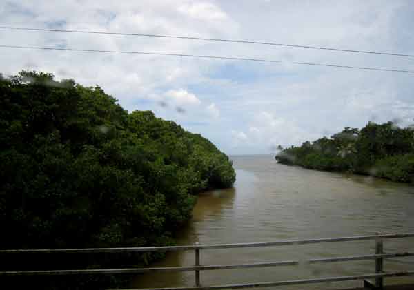 2445-River2C-071014-1205p