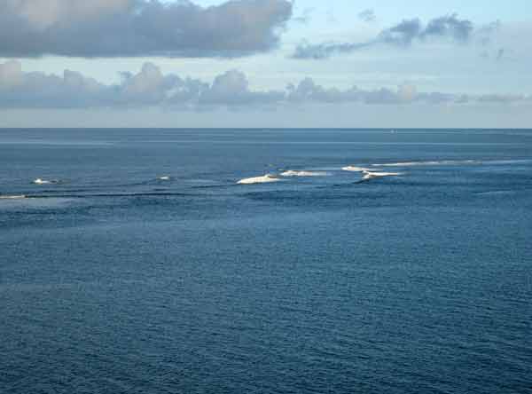 2476-WeClearTheReef-071014-521p