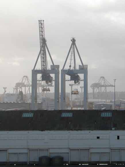 019-7902-HarbourCranes-cv-071017-554a
