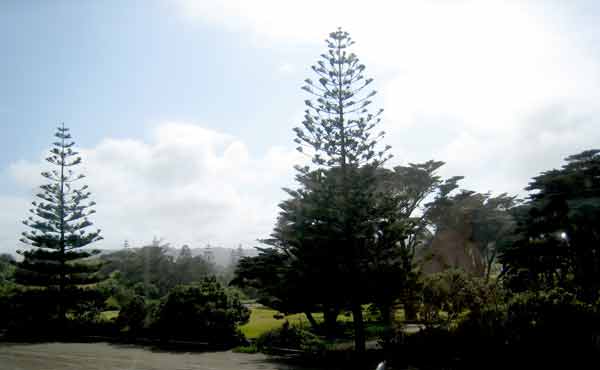 2627-Park-071017-946a