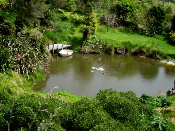 2664-DuckPond-071017-1034a