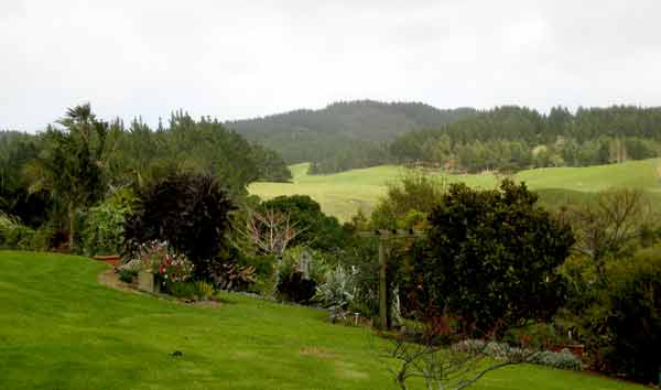 2668-Landscaping-071017-1039a