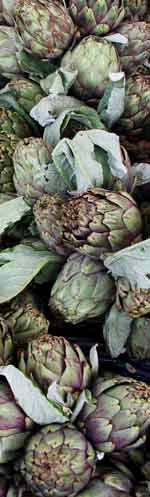 artichokes