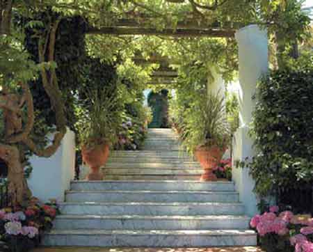 pergola-stairs