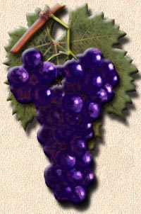 grapes