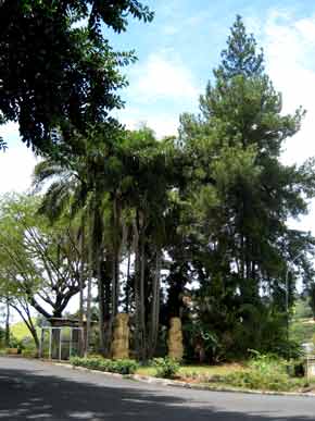 1666-Totems@RestStop-v-071007-1155a