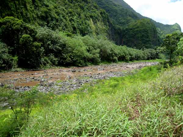 1677-RiverBed-071007-1222p