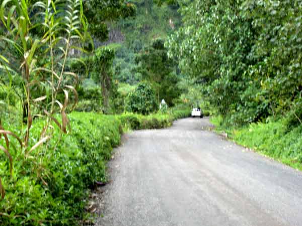 1692-Road-071007-1240p