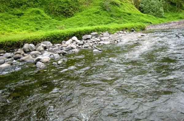 1697-FordingRiver-071007-1251p